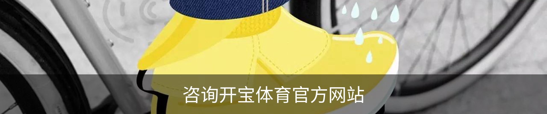 咨询开宝体育官方网站