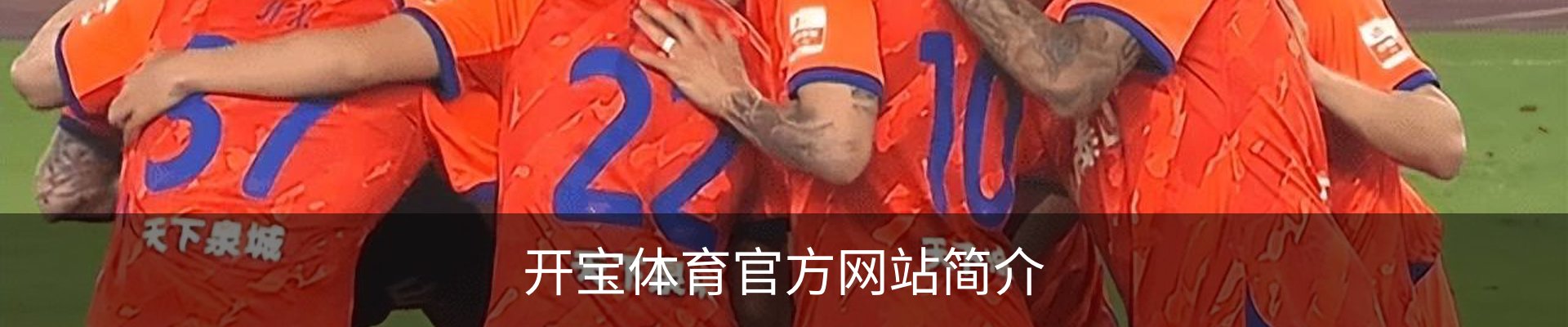 开宝体育官方网站简介