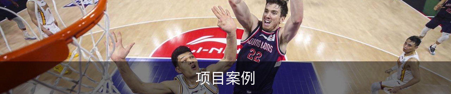 项目案例